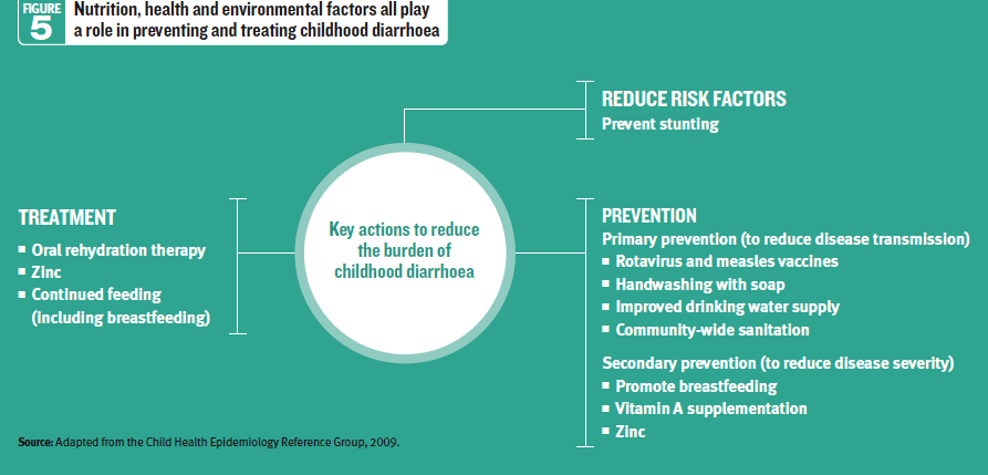 Figure 5 - Les facteurs liés à la nutrition, à la santé et à l'environnement jouent tous un rôle dans la prévention et le traitement de la diarrhée infantile